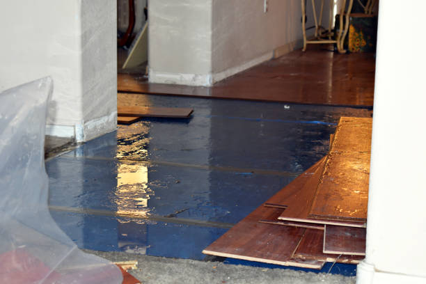 Professional Water Damage technician working in Brownsville, TX